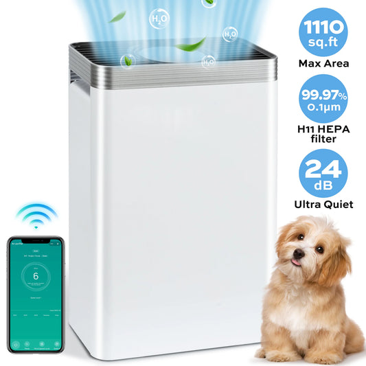 Deli Air Purifier HEPA For Pet Dander And Smoke Removal
